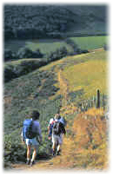 Walking in Avon