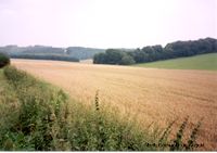 countryside view