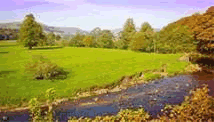 Whitewell