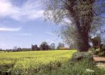 Suffolk