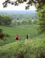 walkers in the countryside