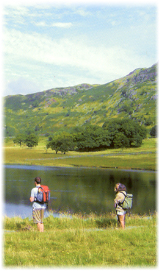Lake Scene in Cumbria