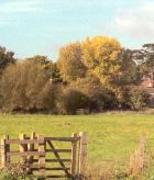 Chiltern Way_02
