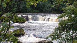 Aysgarth Falls